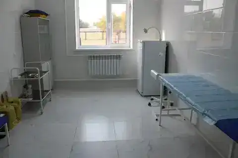 Улучшение медицинской инфраструктуры в Карасайском районе: новые амбулатории для сельского населения Павлодаре