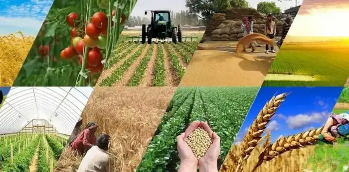 Измените правила агро: присоединяйтесь к обсуждениям! Павлодаре