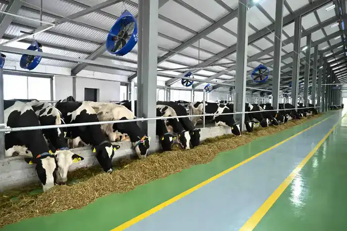 ТУРКЕСТАНСКАЯ ОБЛАСТЬ ЛИДИРУЕТ В РЕСПУБЛИКЕ ПО ОБЪЕМУ СЕЛЬХОЗПРОДУКЦИИ - ПРОИЗВЕДЕНО 1,1 ТРЛН ТЕНГЕ (5)