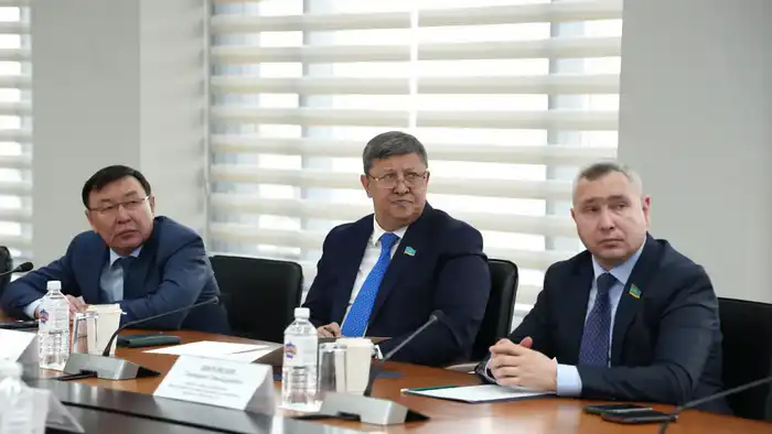 Укрепление гражданской защиты: результаты встречи МЧС с депутатами Сената Павлодаре