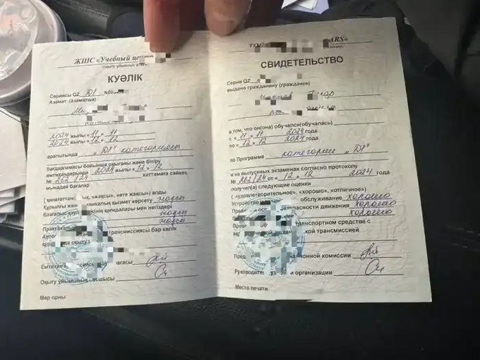 Международное мошенничество с подделкой страховых полисов раскрыто в Казахстане Павлодаре