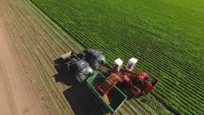 Рост инвестиций в Акмолинской области: новые возможности для экономики и бизнеса Павлодаре