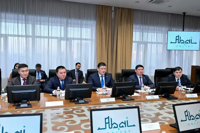 Аким области Абай обсудил с индийскими инвесторами планы по строительству заводов в Семее и Курчатове Павлодаре