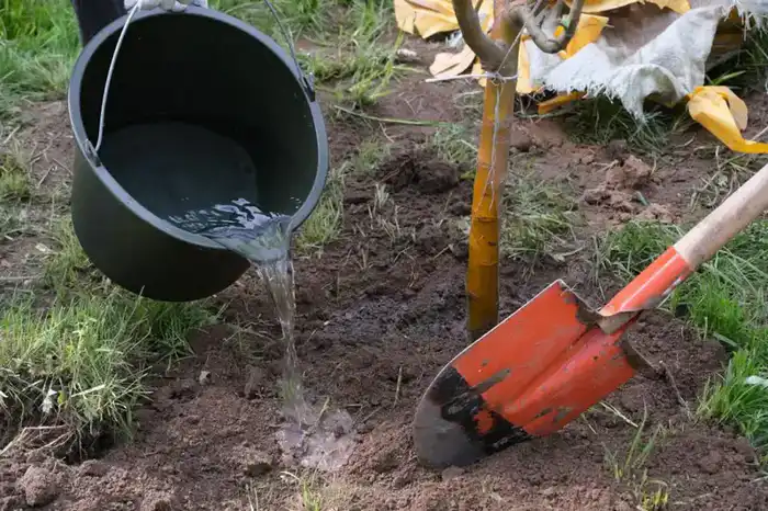 Экологические проекты для города являются приоритетными – аким Алматы (2)