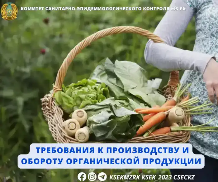 Рост интереса потребителей к органической продукции и важность сертификации Павлодаре