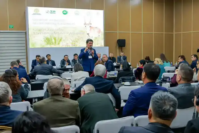 CITES утвердила снятие нулевой экспортной квоты на рога сайгака из Казахстана (4)