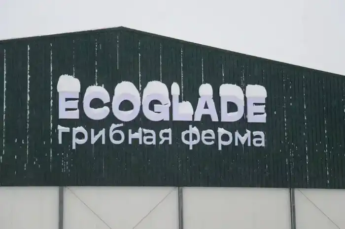 В регионе открыта крупнейшая грибная ферма с инвестициями 11,3 млрд тенге Павлодаре