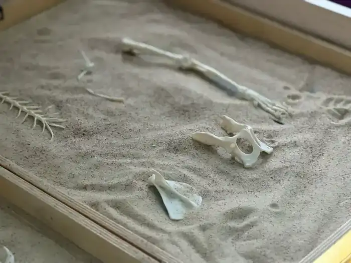 В Астане прошел семинар для детей о значимости профессий Павлодаре