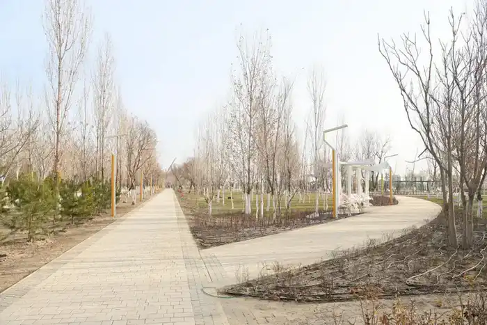 В Кызылорде строятся новые объекты (6)