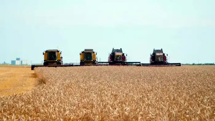 Казахстан инициирует программу кредитования для модернизации элеваторов в рамках развития сельскохозяйственной инфраструктуры Павлодаре