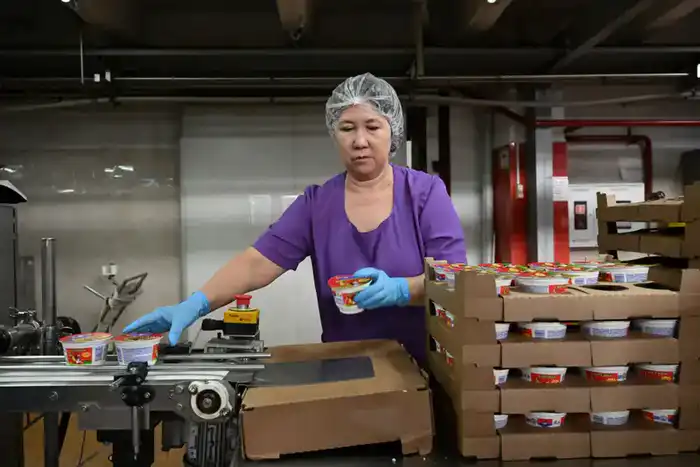 В области Жетісу объем продукции, произведенной субъектами малого и среднего бизнеса, увеличился на 15,2% (4)