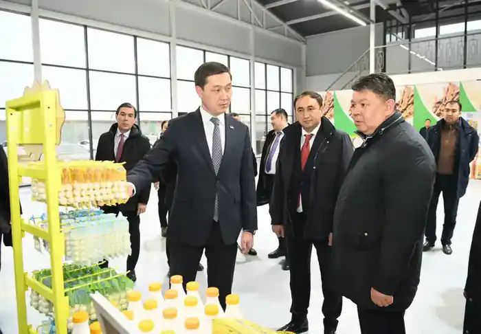 Маленькая фабрика больших возможностей: заместитель Премьер-министра оценил работу зоны «Тумар» Павлодаре