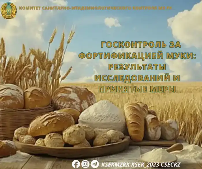 Проблема соблюдения стандартов фортификации муки: влияние на здоровье населения Павлодаре