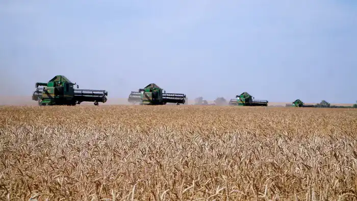 Акмолинская область устанавливает рекорды по сбору зерна, привлекая внимание международного сообщества Павлодаре