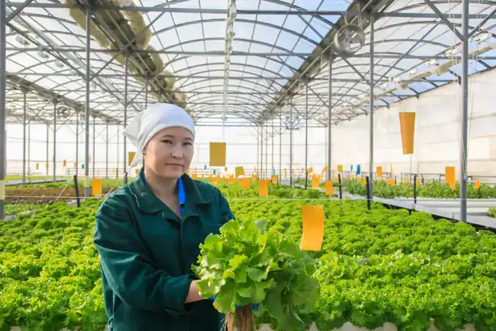 Рост объема продукции в малом и среднем бизнесе Жетісу способствует экономическому развитию региона Павлодаре