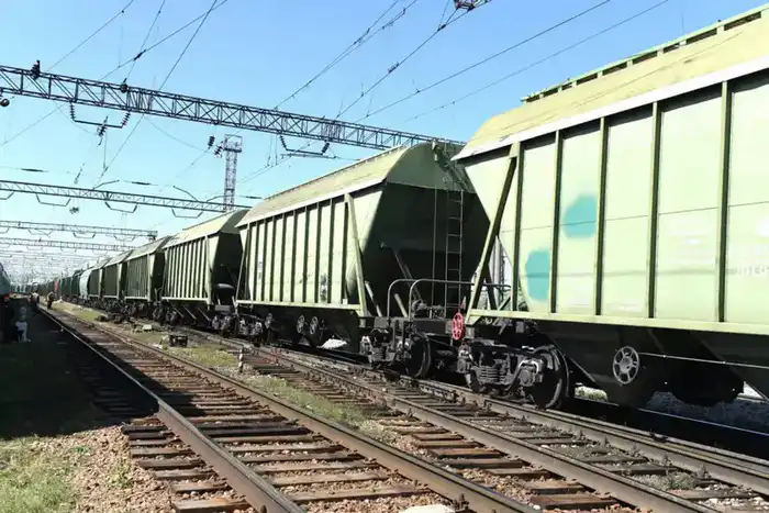 Казахстан обсуждает экспорт зерна в Центральную Азию Павлодаре