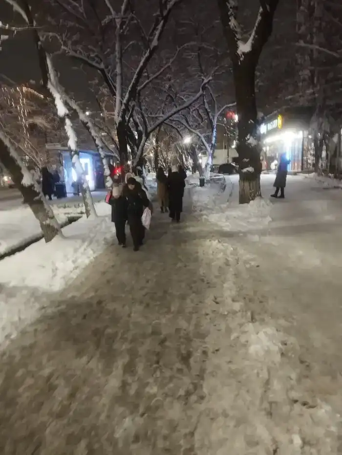 Около 1 200 единиц спецтехники заняты в снегоуборочных работах в Астане ночью (4)