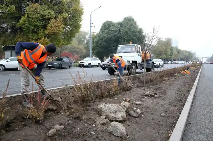 Благоустройство 11 улиц Алматы к 2025 году Павлодаре