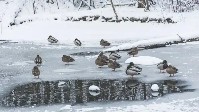 Казахстан готовится к арктическому холоду: прогноз погоды на 6-8 декабря Павлодаре