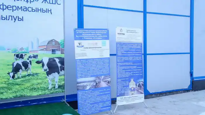 В ВКО открыта новая молочно-товарная ферма на 1075 голов (4)