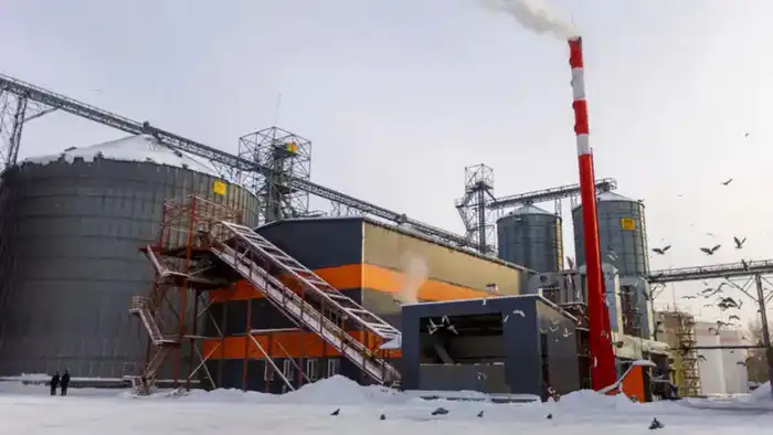 Открытие нового завода ALTAI MAI в Восточно-Казахстанской области: перспективы для местного производства и экспорта растительных масел Павлодаре