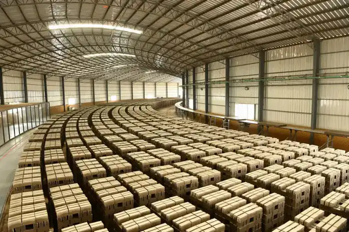 Более 750 млрд тенге инвестиций будет привлечено в Кызылординскую область в этом году (4)