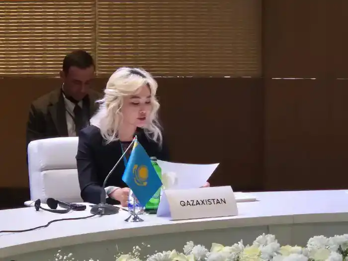 Инициативы Казахстана на встрече министров труда Организации тюркских государств в Баку Павлодаре