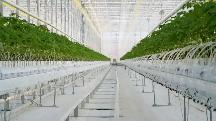 Посещение сенаторов Туркестанской области: внимание к агропромышленным проектам и их социальному воздействию Павлодаре