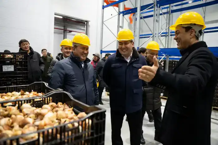 Логистика Алматинской области набирает обороты (5)