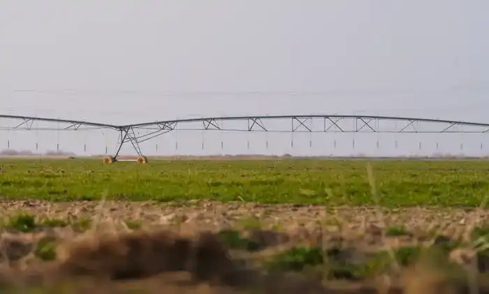 В ТУРКЕСТАНСКОЙ ОБЛАСТИ ВНЕДРЕНЫ ВОДОСБЕРЕГАЮЩИЕ ТЕХНОЛОГИИ НА 114 ТЫСЯЧАХ ГЕКТАРОВ ЗЕМЛИ (3)