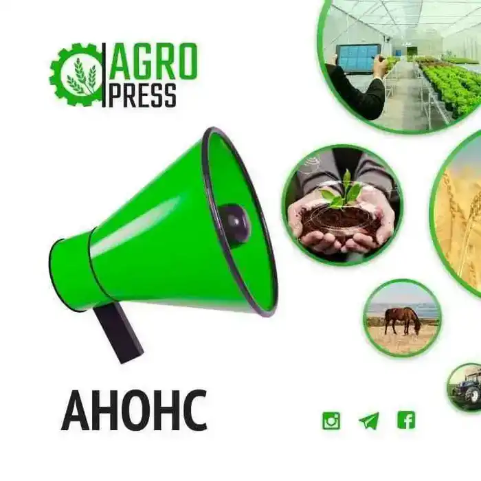 Встреча вице-министра с жителями Кокшетау Павлодаре