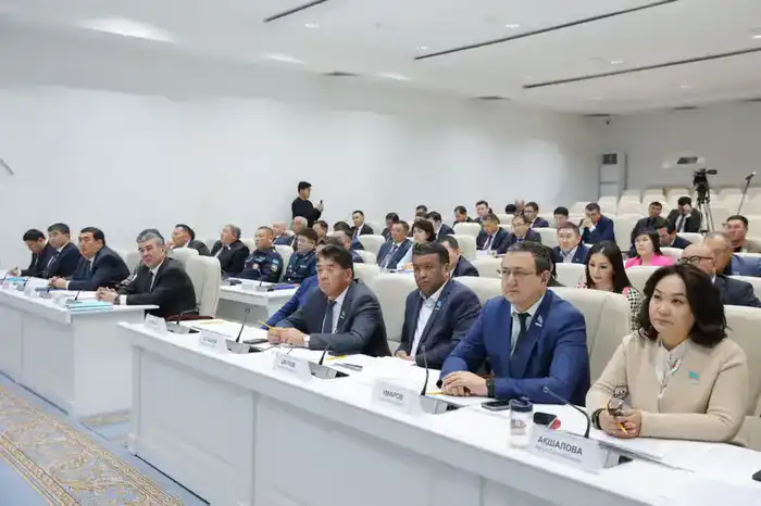 Экономический рост и земли: что обсуждал Карашукеев? Павлодаре