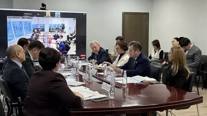 Цифровизация налогов и поддержка регионов на совете Павлодаре