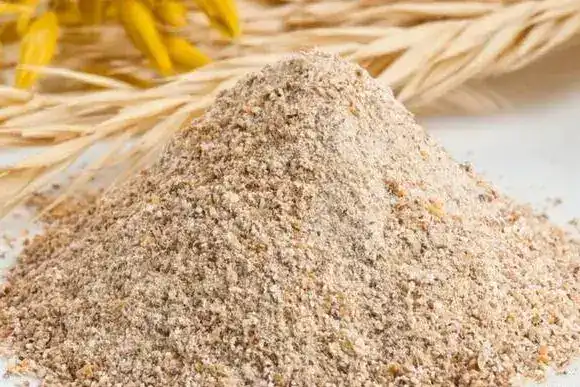 Кормовая мука: Казахстан укрепляет связи с Китаем! Павлодаре