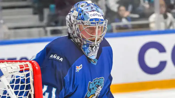 Московское 'Динамо' принимает 'Барыс' в матче КХЛ: где смотреть прямую трансляцию Павлодаре