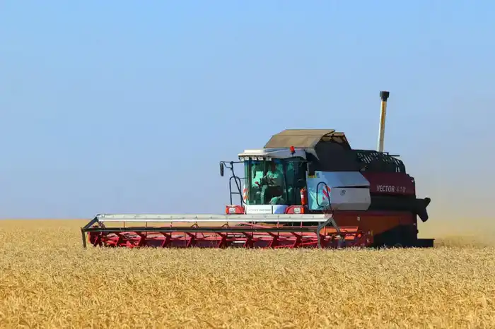 Рост сельхозпродукции региона за 3 года на 60% Павлодаре