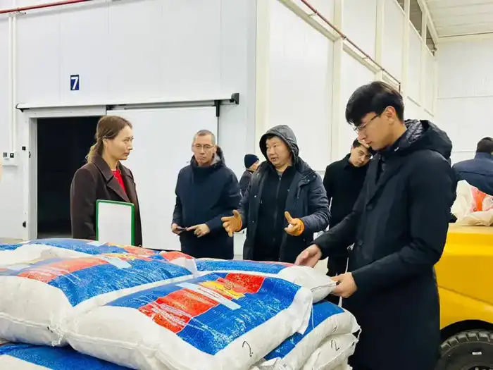 Туркестан: 30 заводов и 6 040 новых рабочих мест! Павлодаре