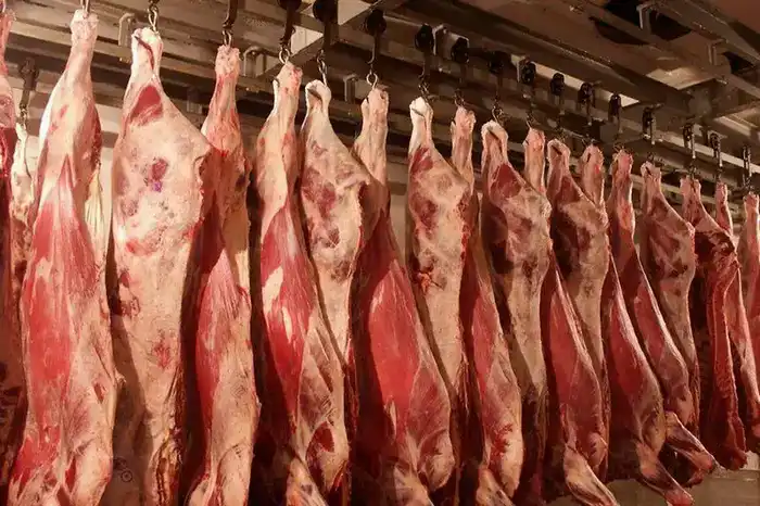 Мясной бум: 1 млн тонн за 11 месяцев! Павлодаре