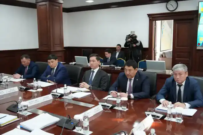 На заседании Правительства РК обсуждены меры поддержки малого бизнеса и выделено 5,6 млрд тенге на проект "Ауыл аманаты" Павлодаре