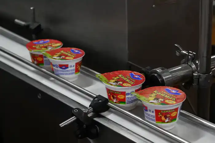 В области Жетісу объем продукции, произведенной субъектами малого и среднего бизнеса, увеличился на 15,2% (6)