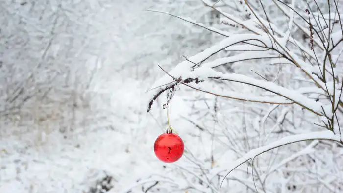 Неожиданная погода на Новый год в Казахстане: синоптики прогнозируют сюрпризы для празднующих Павлодаре