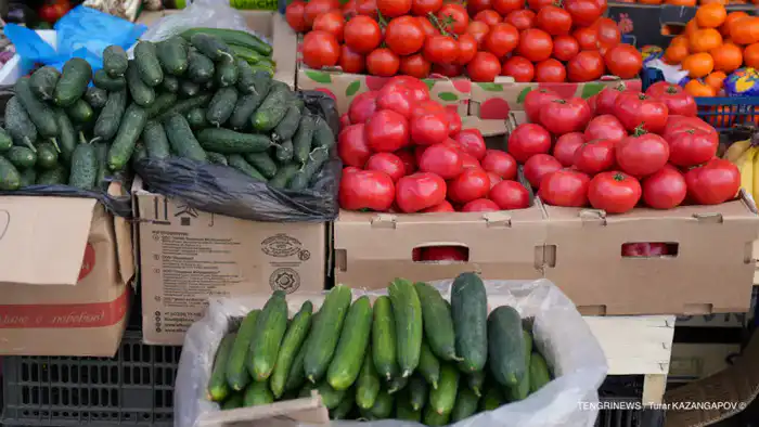 С 6 января в Казахстане начнётся контроль цен на фарш, огурцы, помидоры и ещё 14 социально значимых продуктов, сообщает министр торговли и интеграции Арман Шаккалиев. Павлодаре