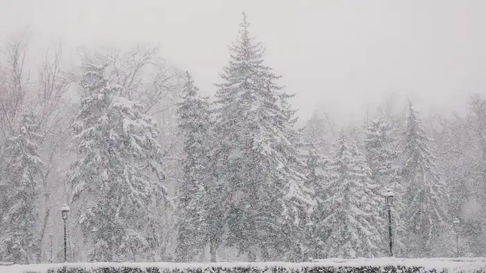 Сильные морозы ожидаются в Казахстане: синоптики Казгидромета представили прогноз на 16-18 декабря Павлодаре