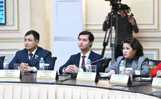 Опасность от шашлычных и бань на твердом топливе: угроза ухудшения качества воздуха в Алматы