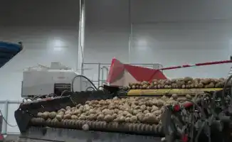 Лук и картофель: Казахстан готовит урожайный сюрприз!