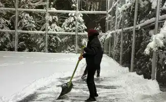 Алматы: Эко-революция, где молодость встречает природу