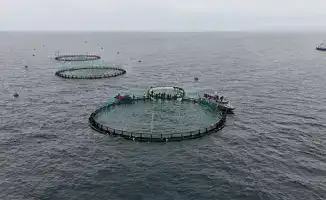 Форель в Каспии: начало морского рыбоводства в Казахстане