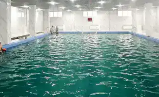 Открытие нового ледового дворца в Жас Өркене: шаг к развитию массового спорта и укреплению здоровья населения