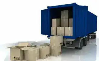 Специфические товары: Лицензии, которые нельзя игнорировать!