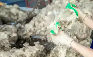 Запуск завода по переработке шерсти в Актюбинской области: новые рабочие места и экологические инициативы